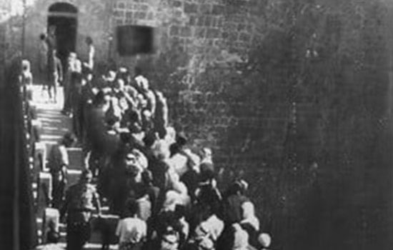 سقوط مدينة عكا في ١٩٤٨ واعتقال الرجال 2