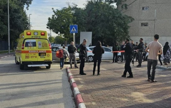 طعن في اللد