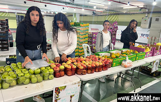 18ddecf0 7523 40ca 8854 3bb1201a442f