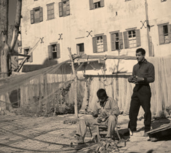 271593891 10158552635166451 3888009155576536751 N