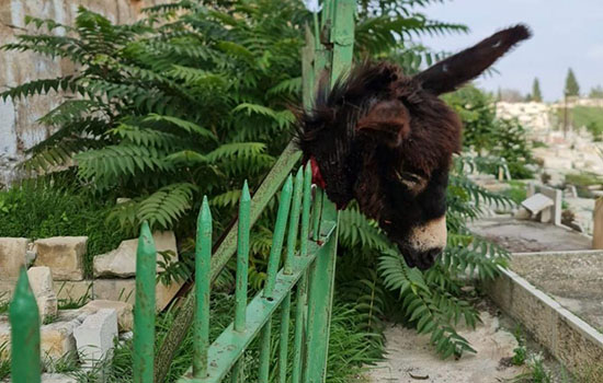 86a40a43 9ea4 49c7 9ba2 32a2c9fa3795