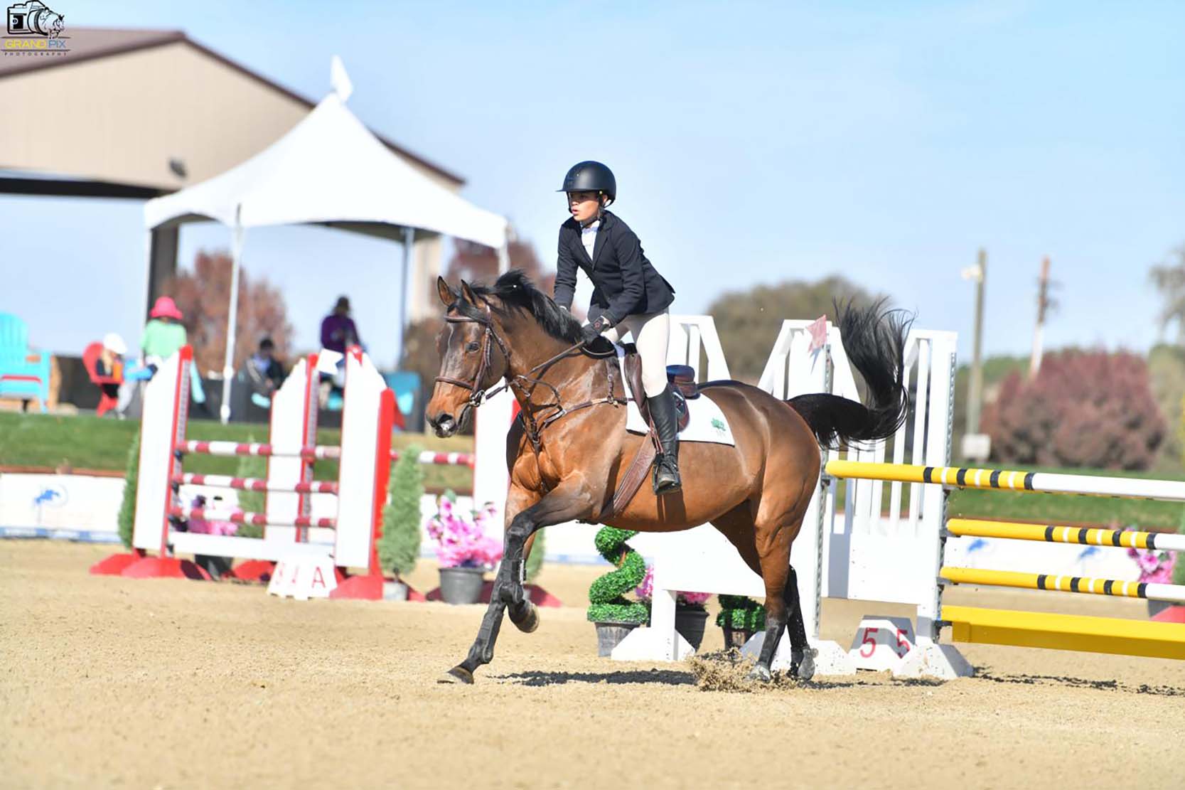 785f7ef6 1d57 4ea8 B96a 047784d7e338