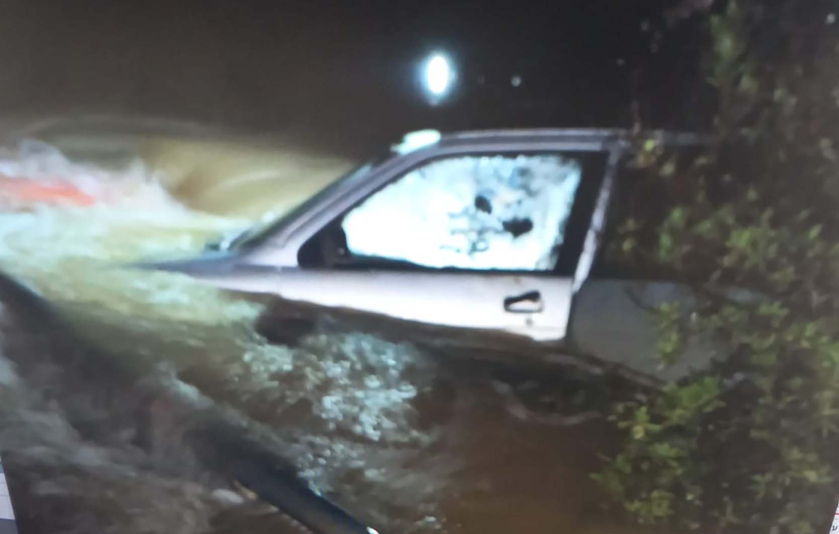 7eca0070 508f 443a B88e 88f4c56c767f