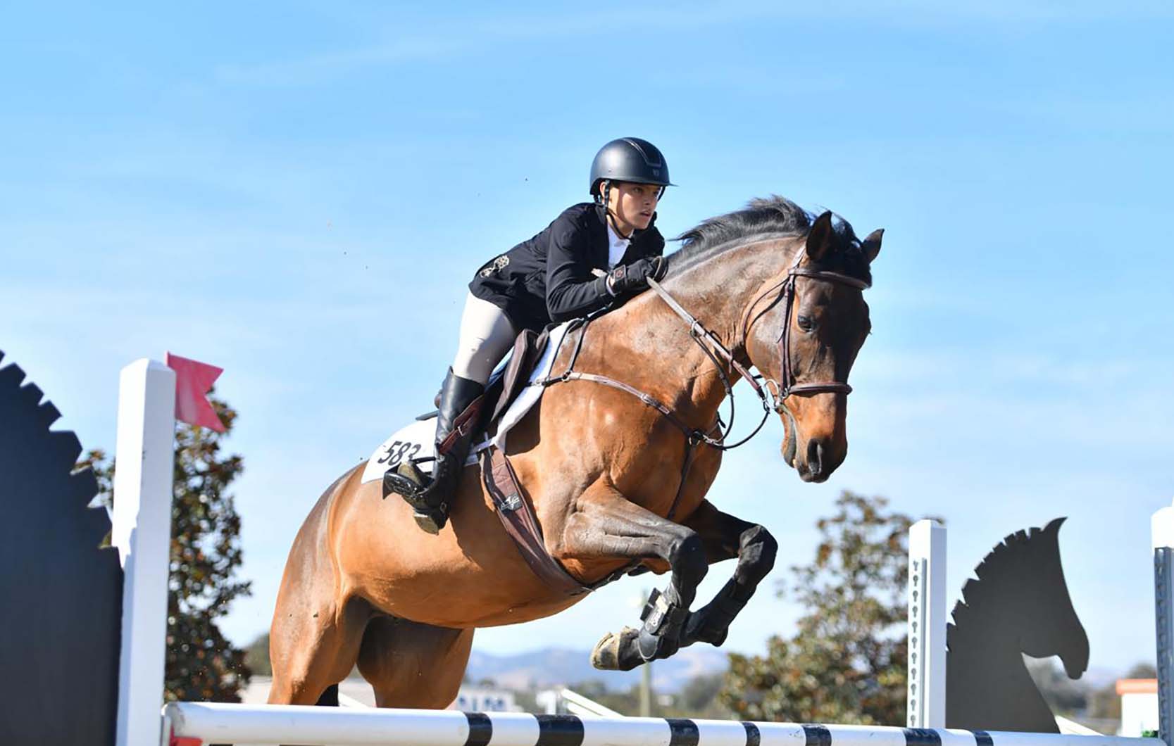 الفارس العكي محمد هشام شافعي