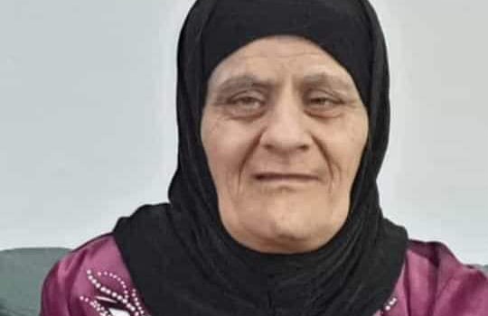 Fb Img 1707377764132