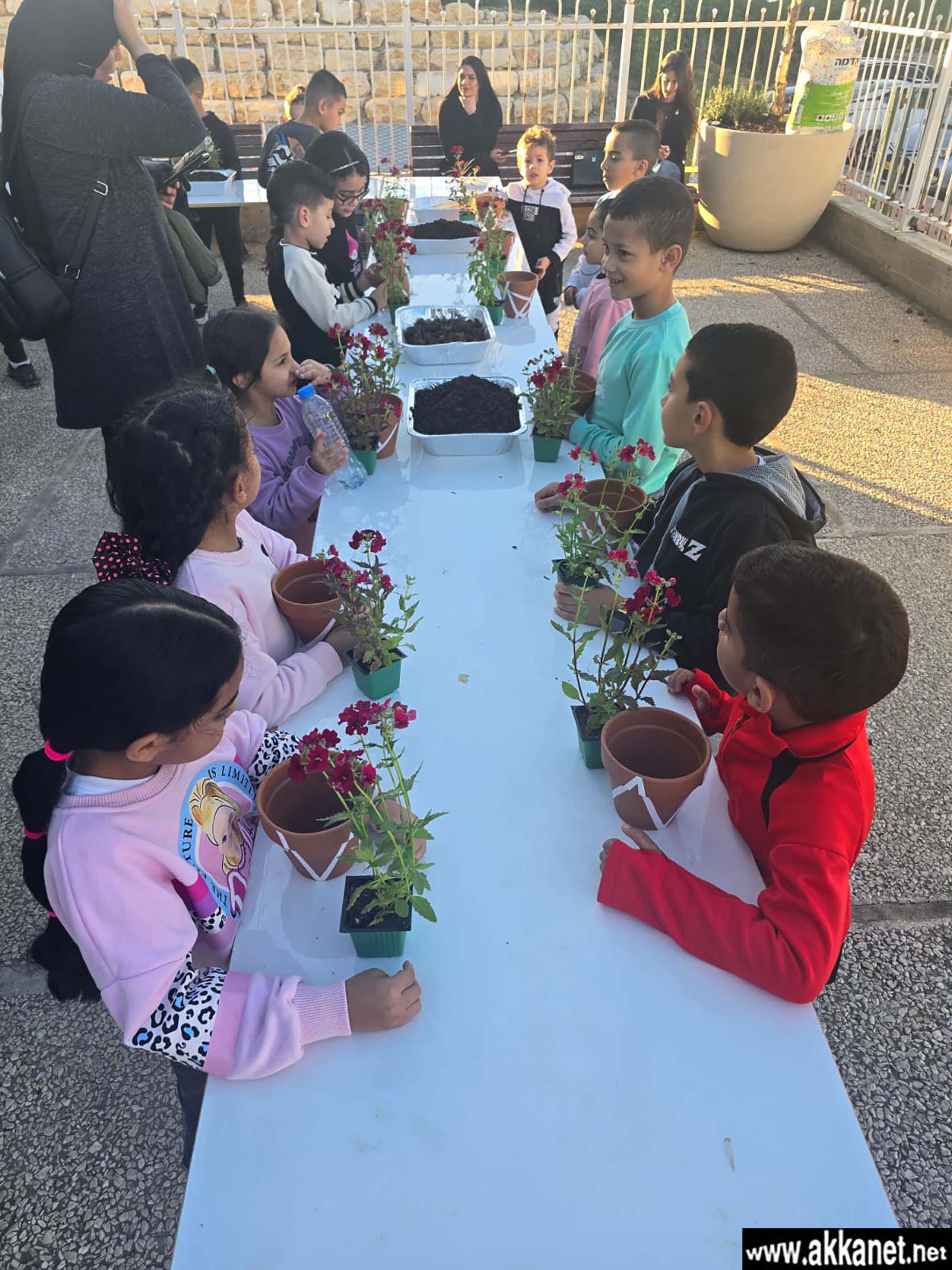 2eca339b 6538 4b99 B07d 9658ba8963e5