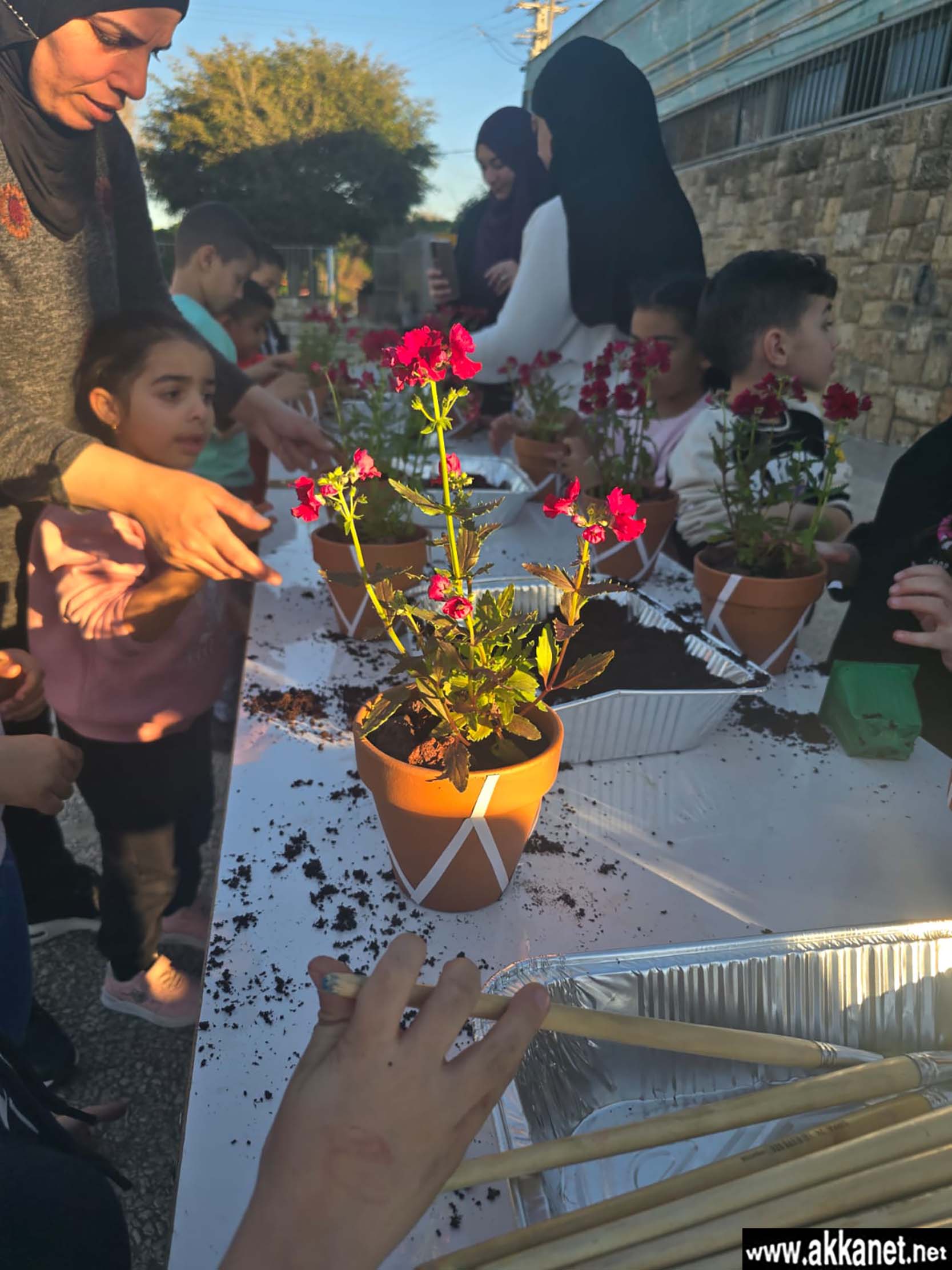 52f55ffa E1f1 44c8 9990 3e7296f11ba9