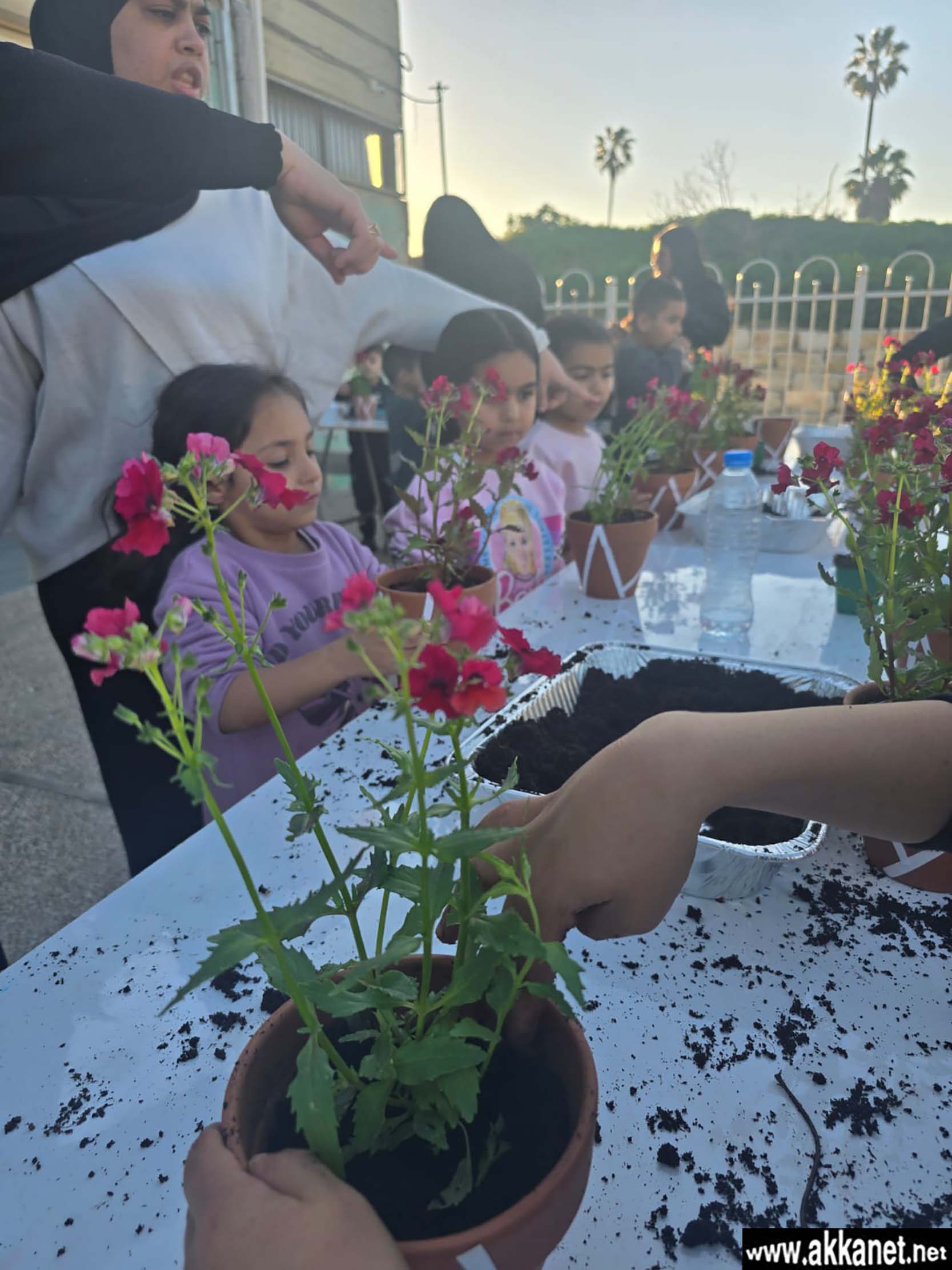 7dbd26b2 0dcf 48c0 8fc0 D160042ceffc