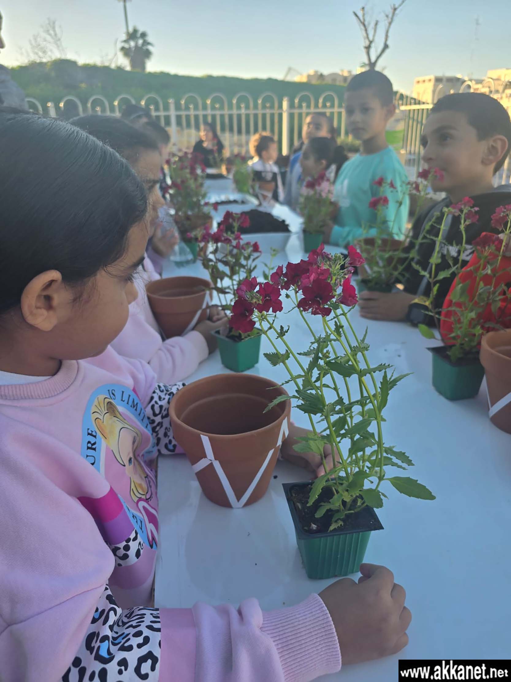 D68be4ab B586 4417 9de8 0707293f7ba9