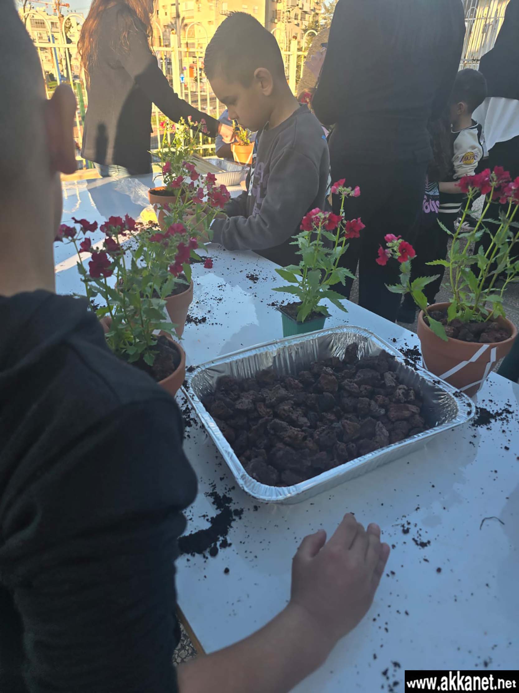 E101afc1 1754 480f B80e Cb09488be80f