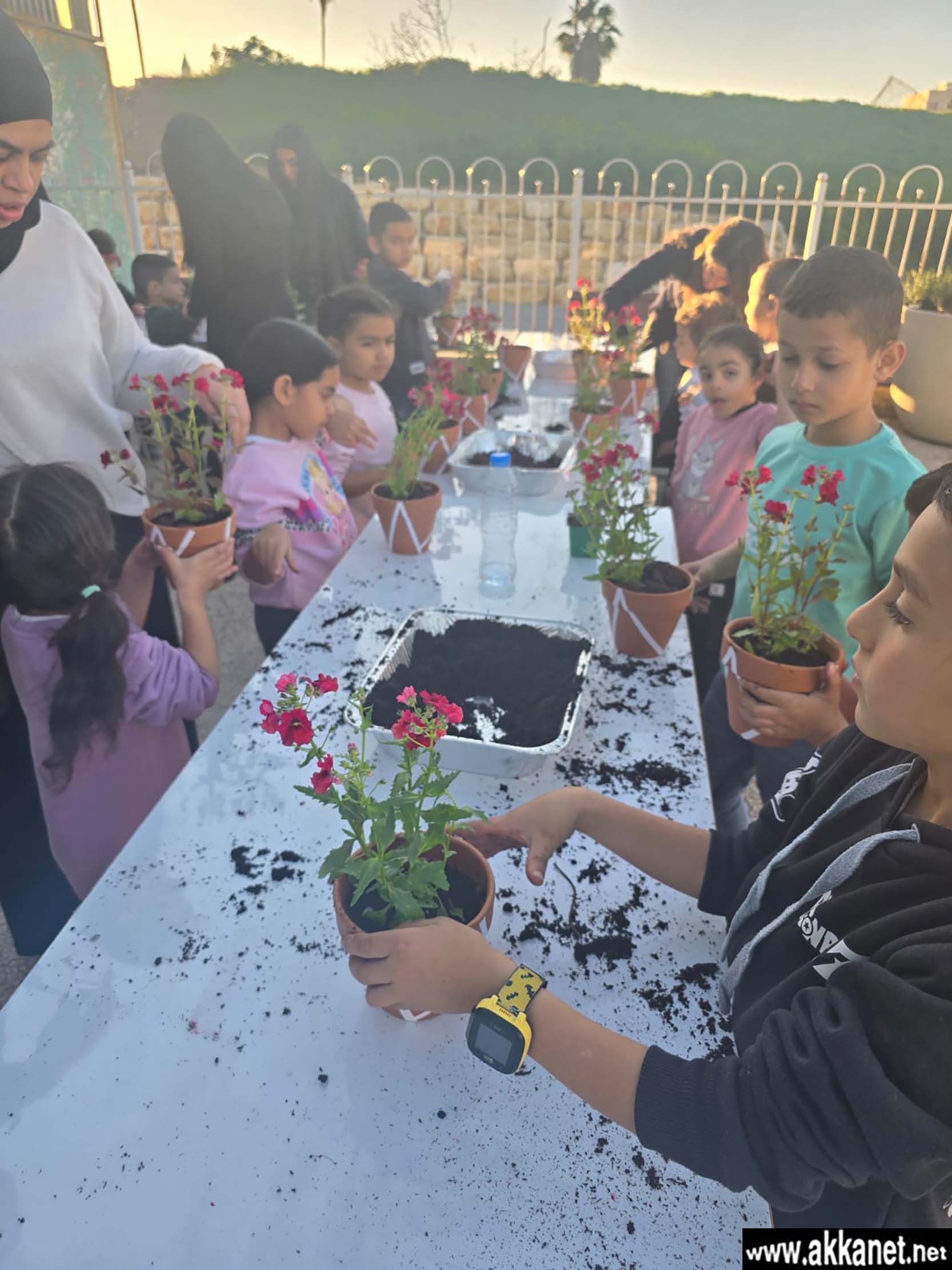 E6e880d8 C381 4ede 979c 499d86c53470