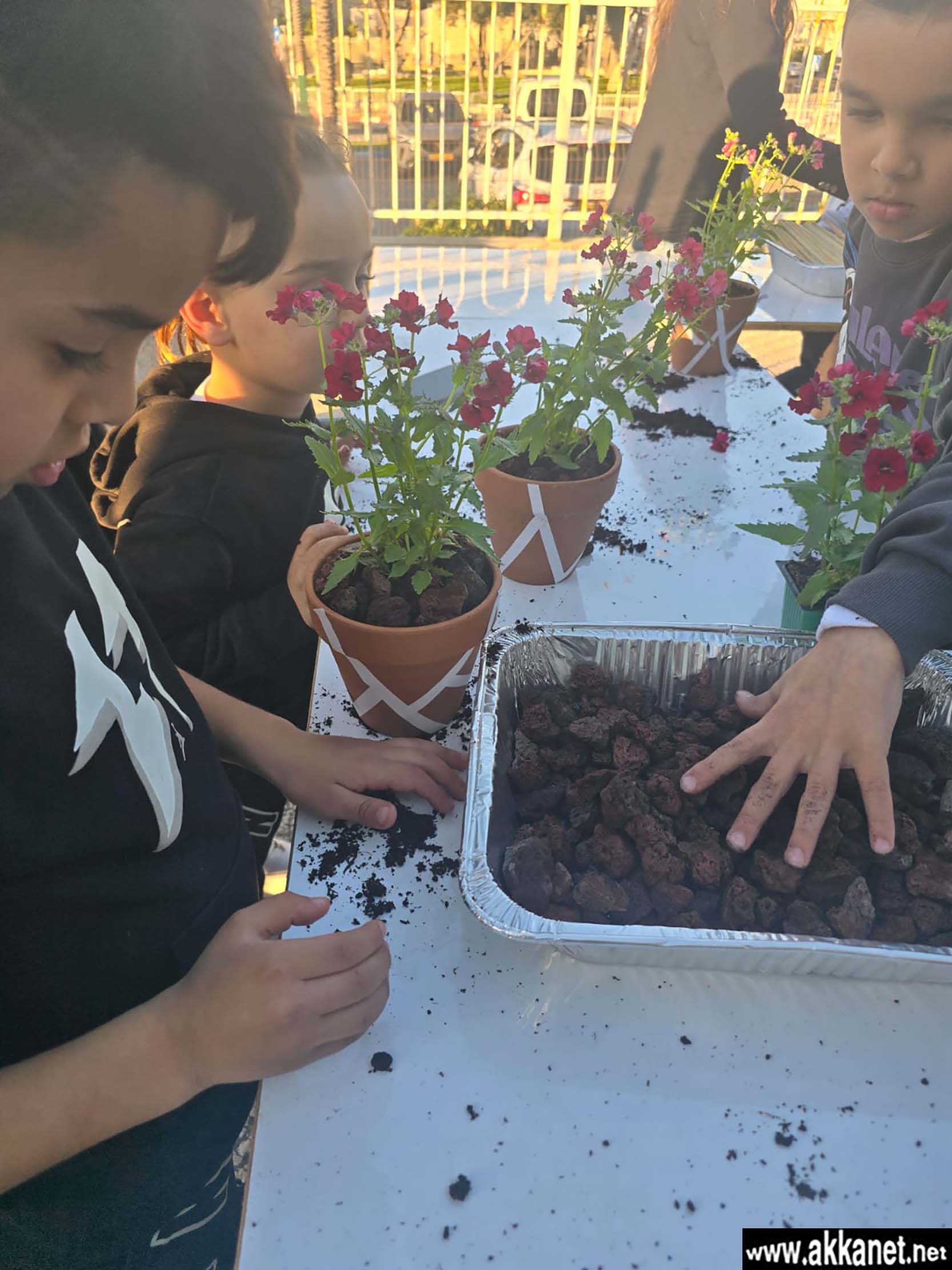 F32781ab Ab06 48ff 99e2 6ae86d4946d0