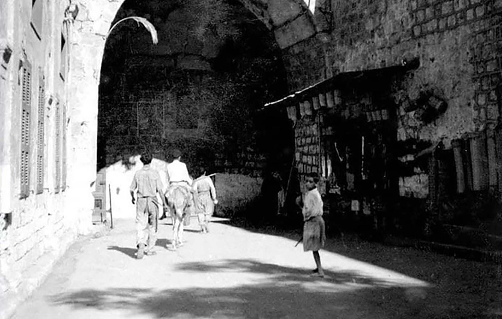 107792854 2624572797810045 6077633209353819005 O 2 2