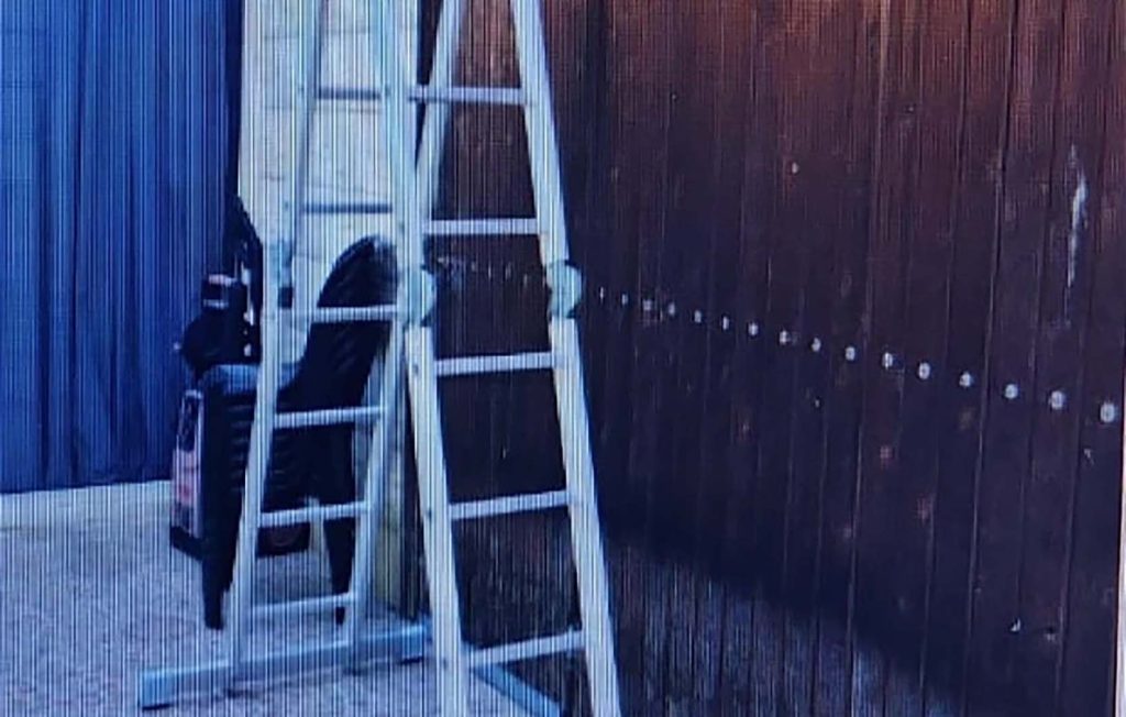 Whatsapp Image 2024 05 15 At 08 58 56 1c229c3f