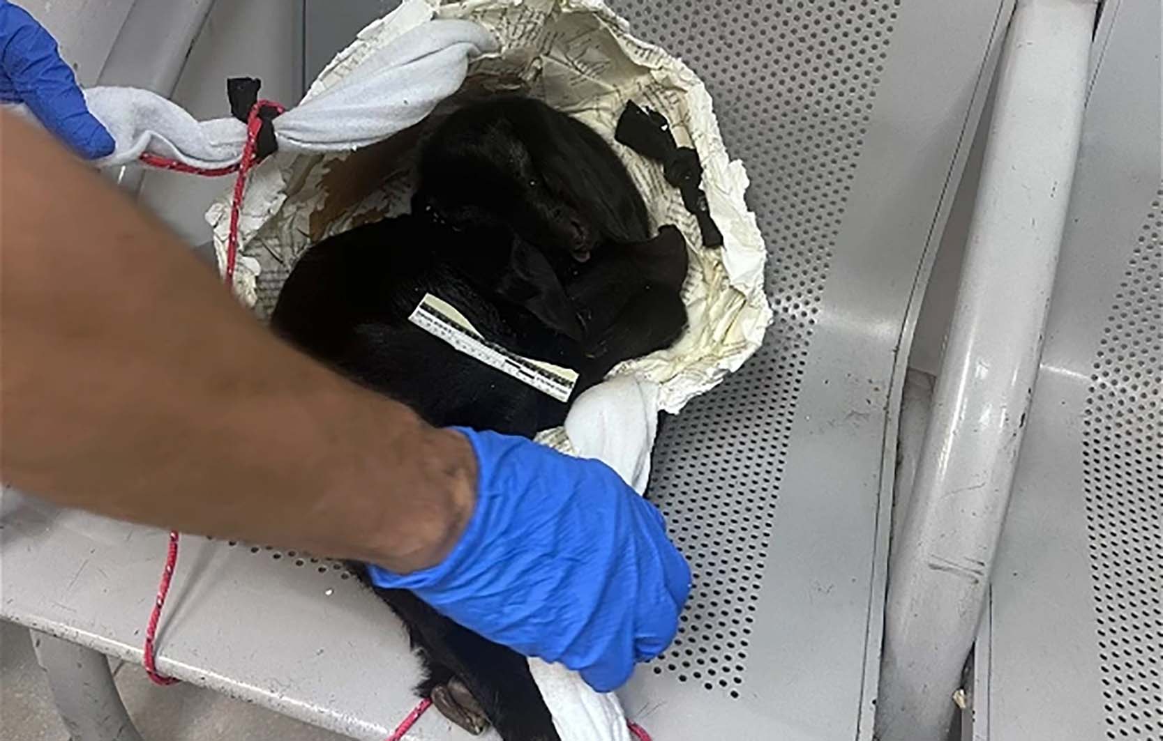 Whatsapp Image 2024 05 22 At 15 26 18 2e8bbaae