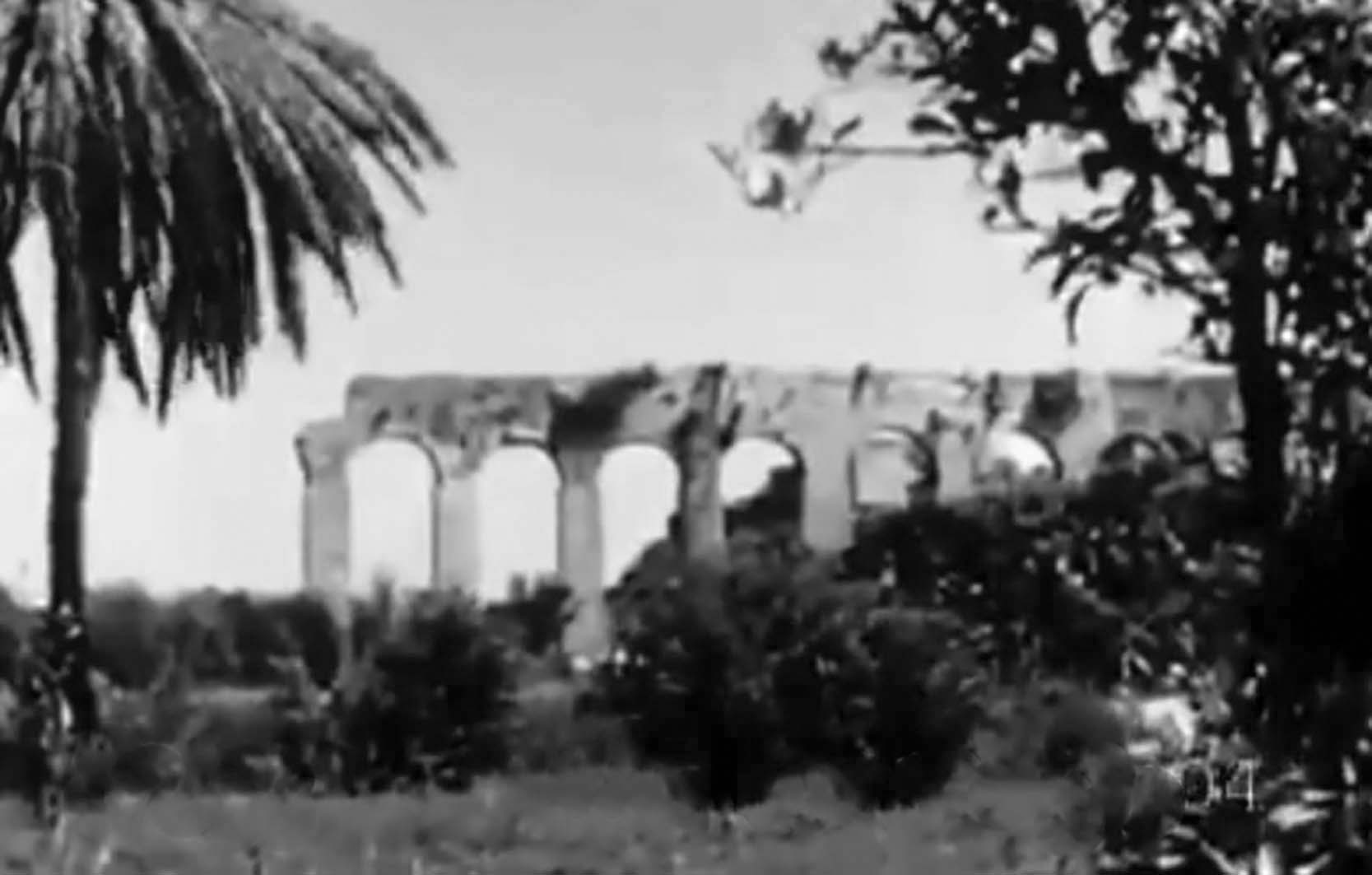 B058e228 9c29 4e0d B588 7d0698aa1d2b 2 2