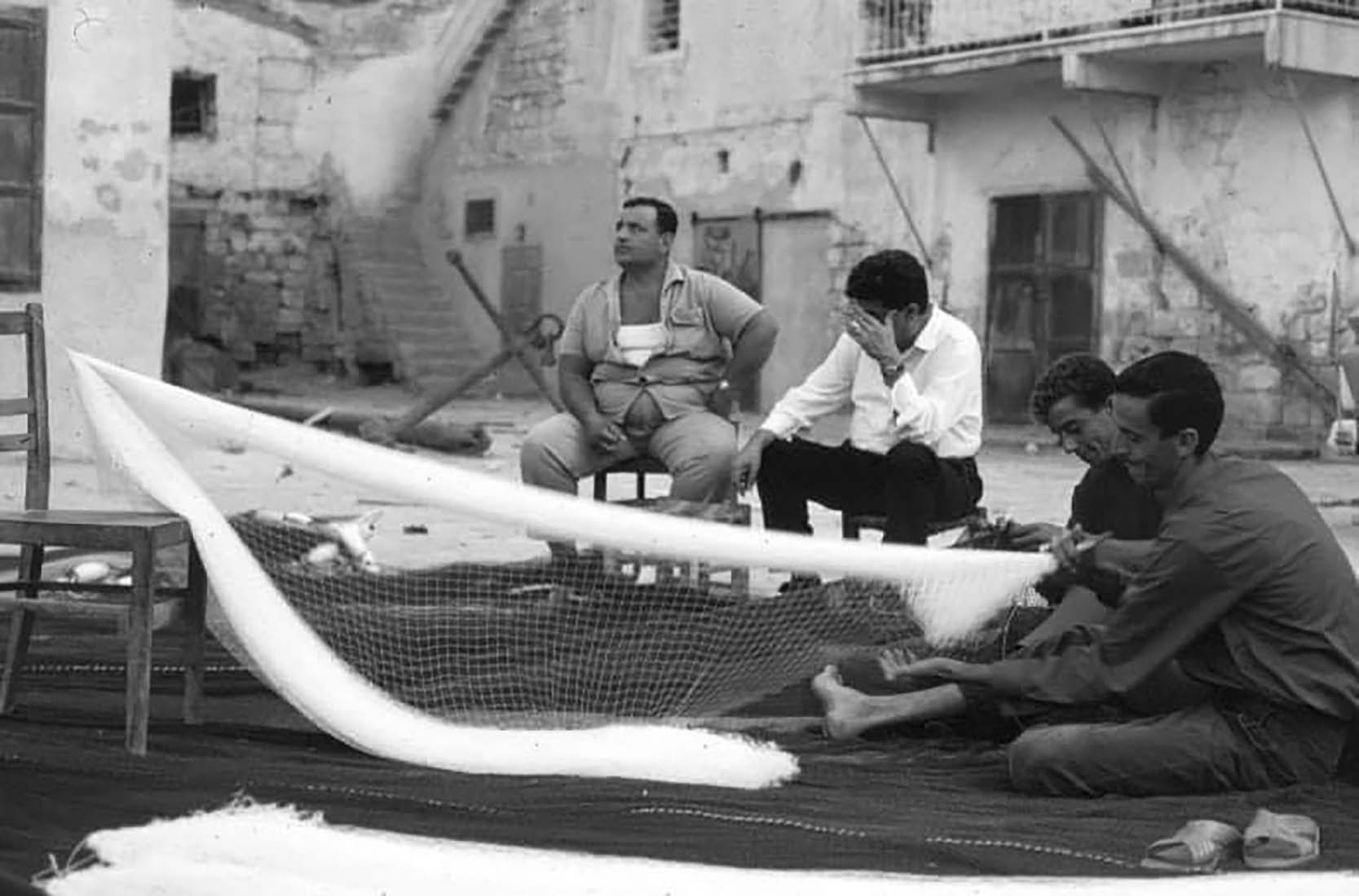 97061205 2683085945256750 2717243323608727552 N 2