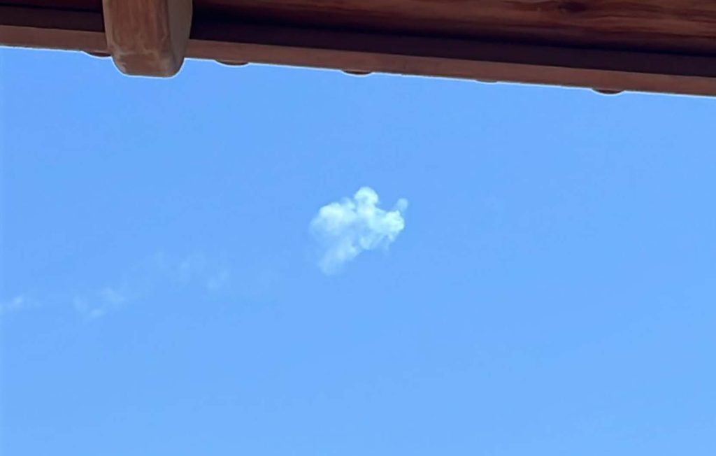 Ed1a14c0 4aa9 42bd B80a 31fee3536697