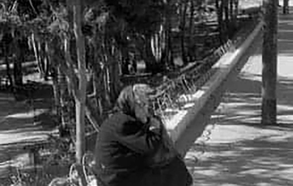 الطريق الى عكا وعلى اليسار الحرش 2