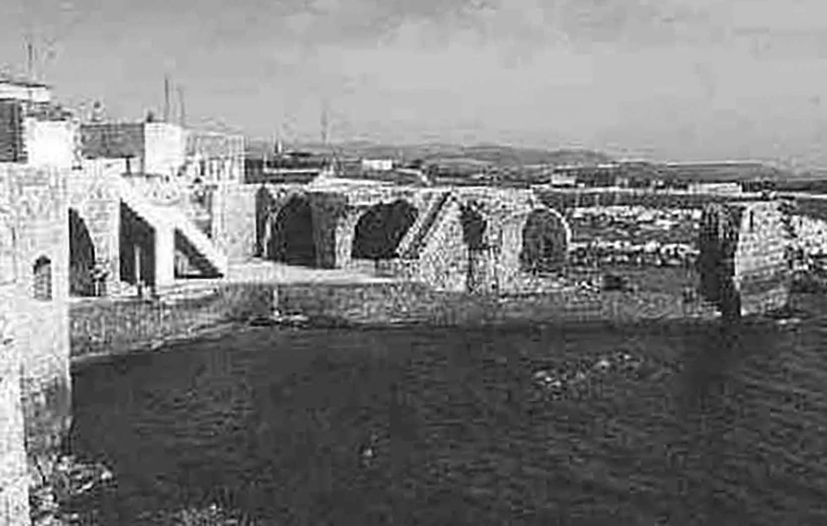 78616168 2550352671863412 2636438947068116992 N 2