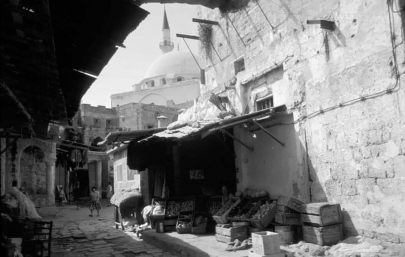 80696969 2568703036695042 3752929327889514496 O 2 2