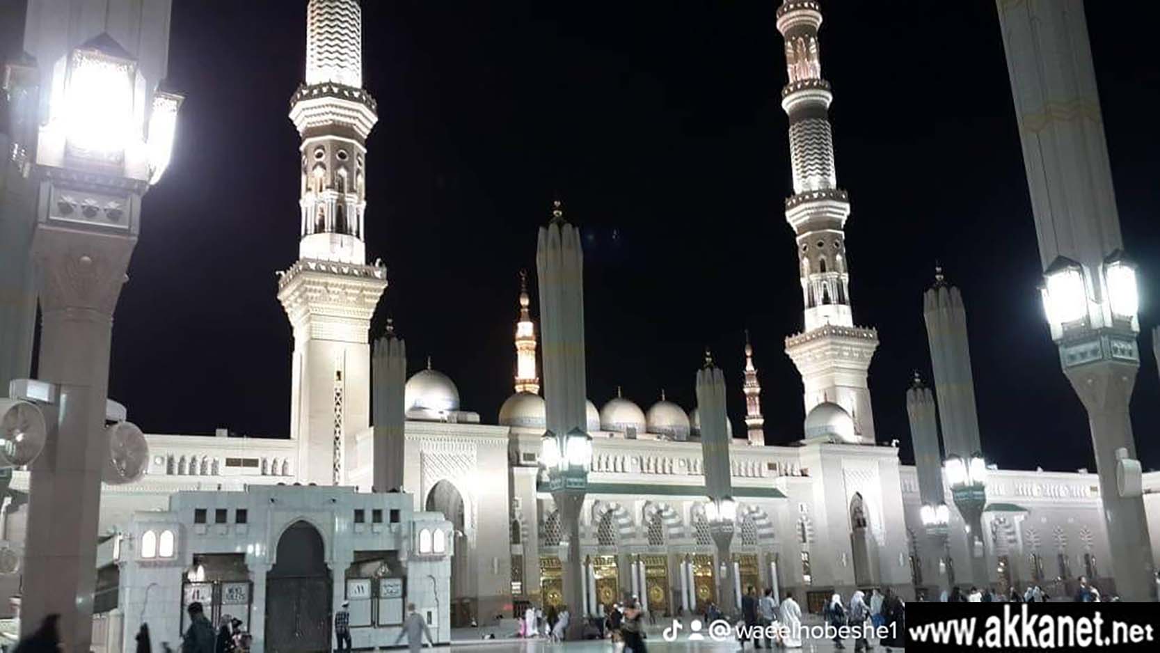 11b65b53 8fb1 48b3 852b 3d5f4fbf9a27