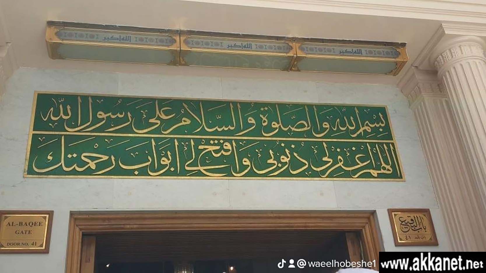 3599f6d9 91fa 4996 82da E5bb829e5a58