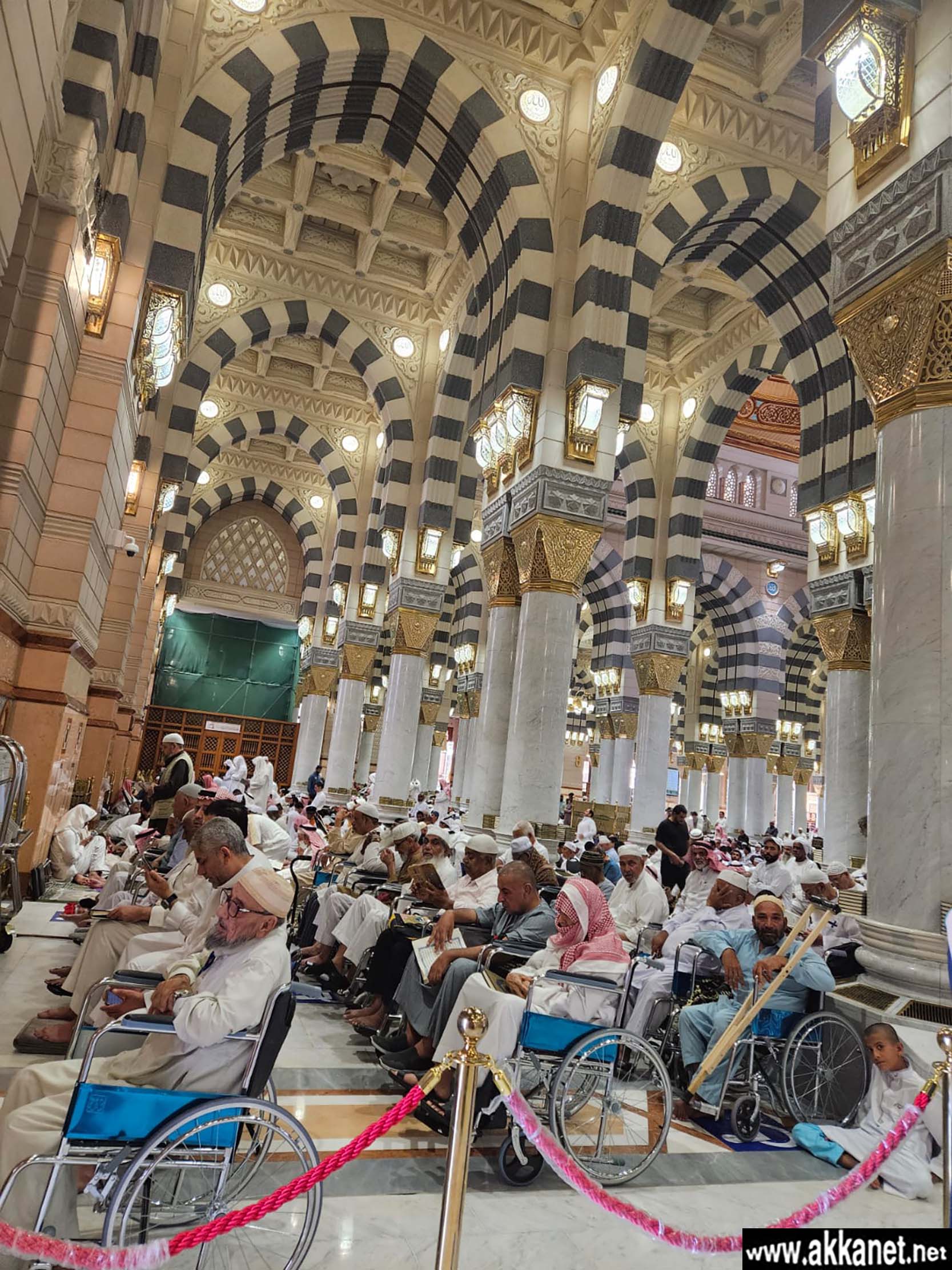 5a3c9220 828a 4da7 A4cf 2f568e7e0431