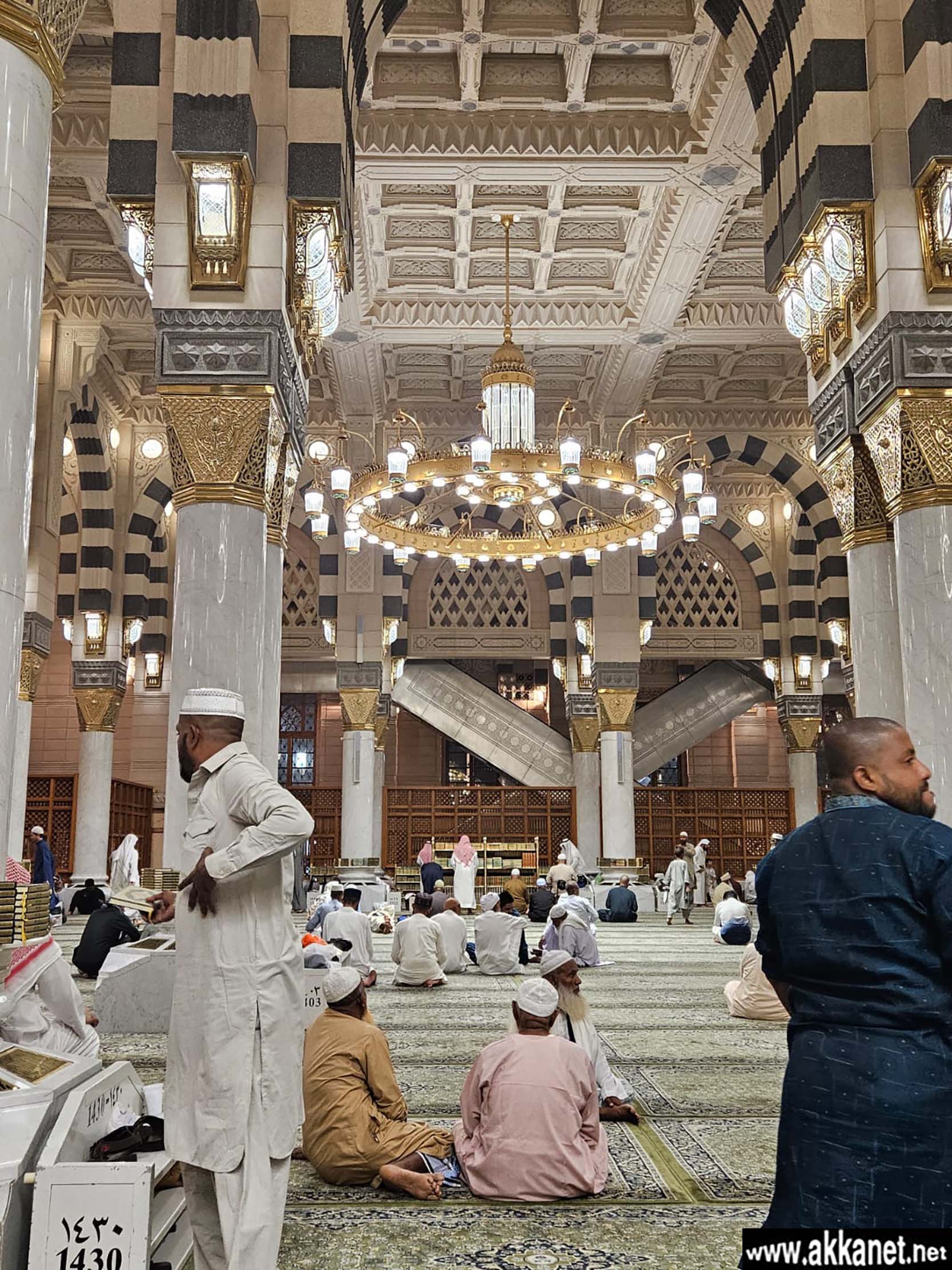 Fd51fa78 31f9 489f 91d0 F7446fb54f7a