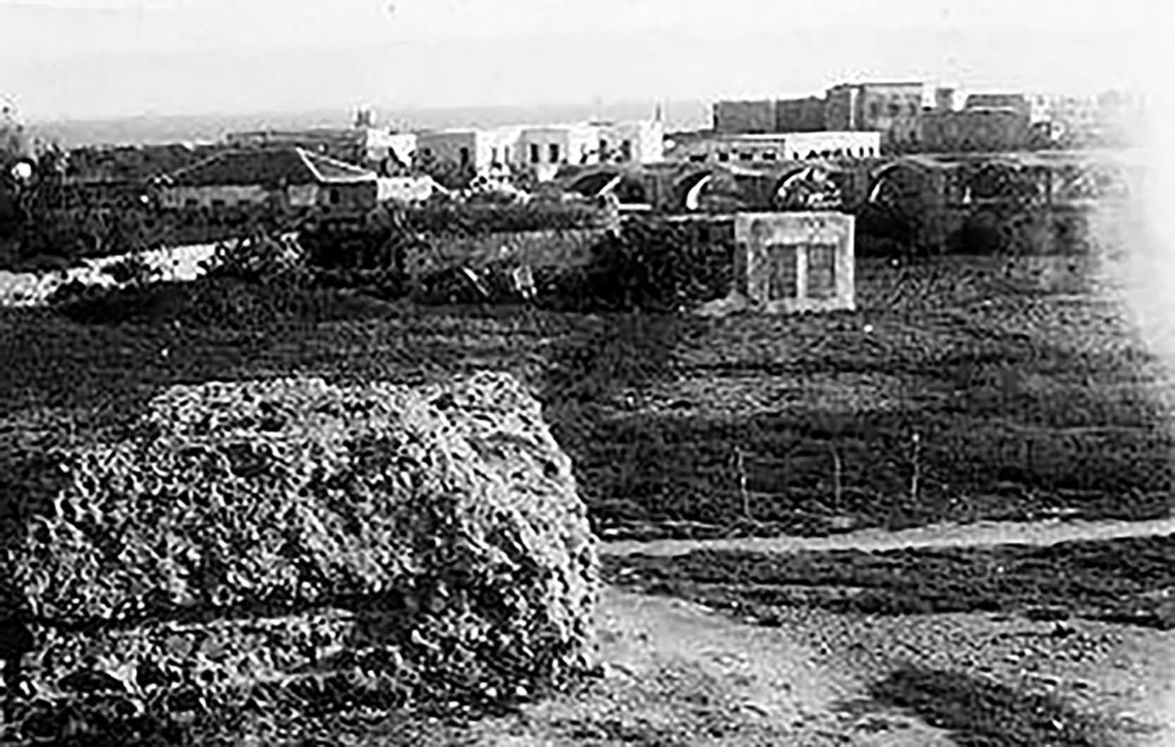 12278882 1722475531317801 1226857493611764777 N 2