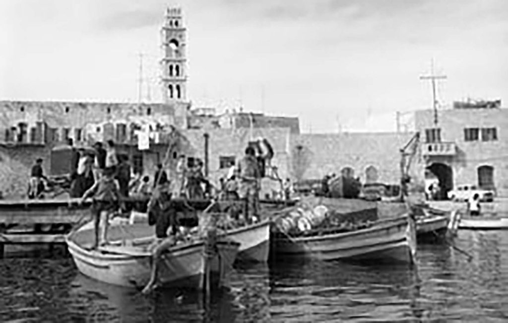 271608044 10158552614396451 1067957352930708600 N 2