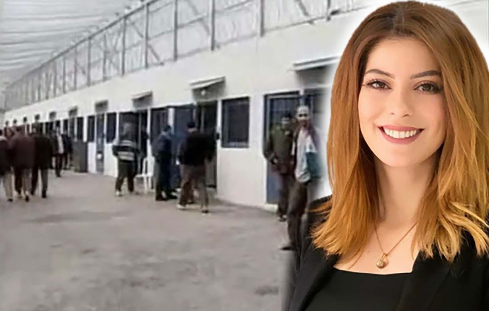 حلا صايل غانم