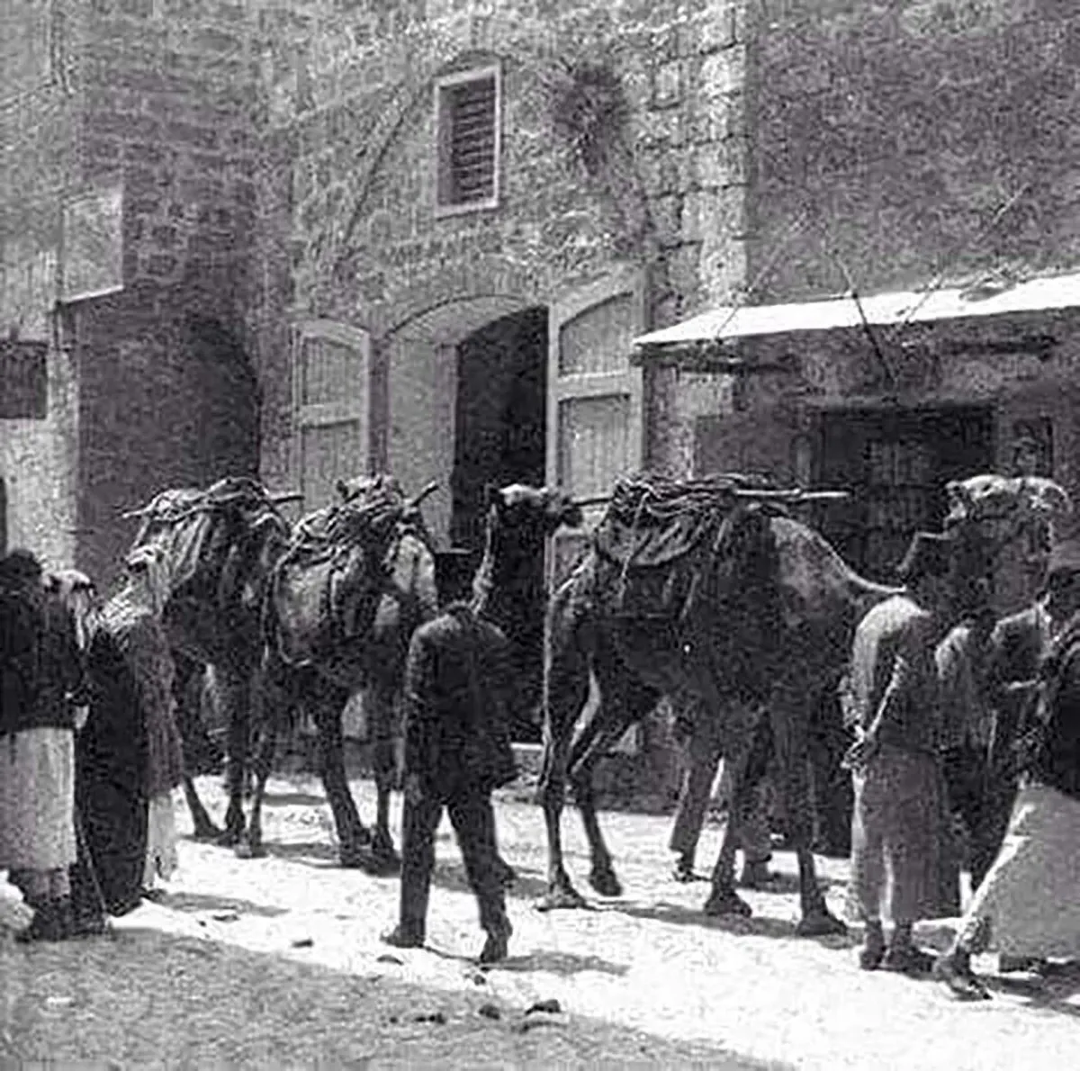 4466d306 Ca2e 470b 9480 D88630554db8 2 2