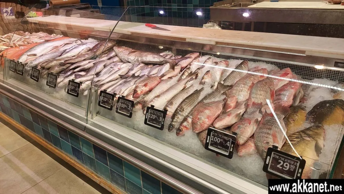 398fdde3 6f0b 480b Bd49 50e345ca44dd