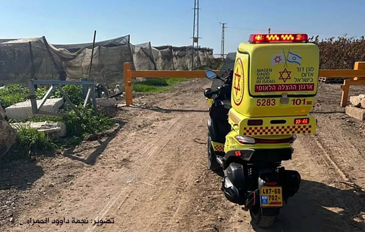 Whatsapp Image 2025 02 01 At 13 31 10 B8d44193