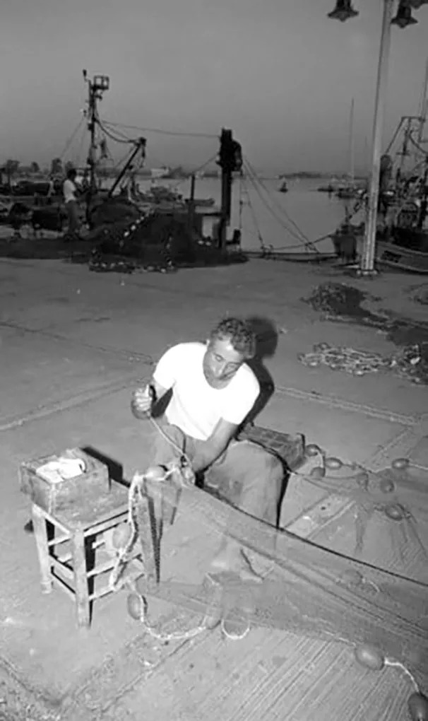 271606689 10158552617166451 1537530604152486390 N