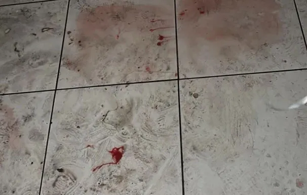 Whatsapp Image 2025 08 08 At 09 03 44 3f7921ee