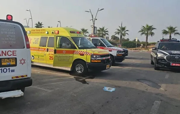 Whatsapp Image 2025 08 12 At 07 51 54 36558f9d