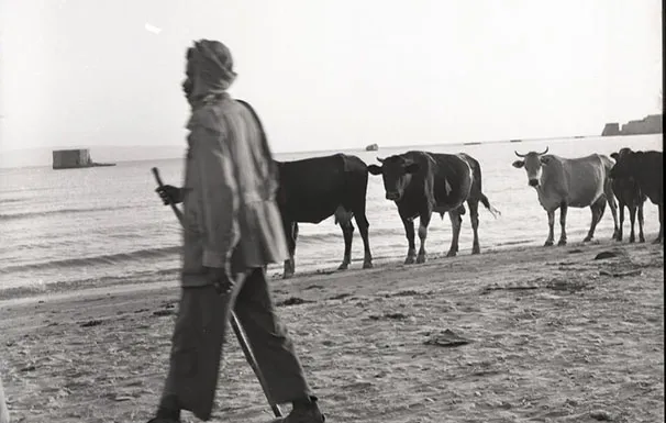 1949 Israelalbu אוסף הצלם ורנר בראון יד בן צבי 2