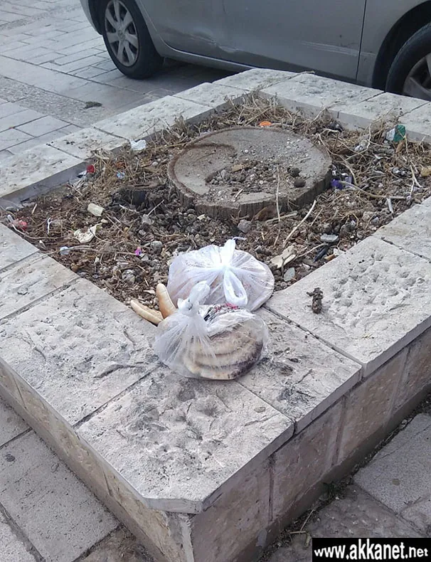 3311e6b6 074c 481b A850 E397a22dafaf