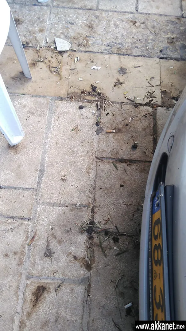 6e8b647b 9d67 4e4e 8cc1 7c9352993128