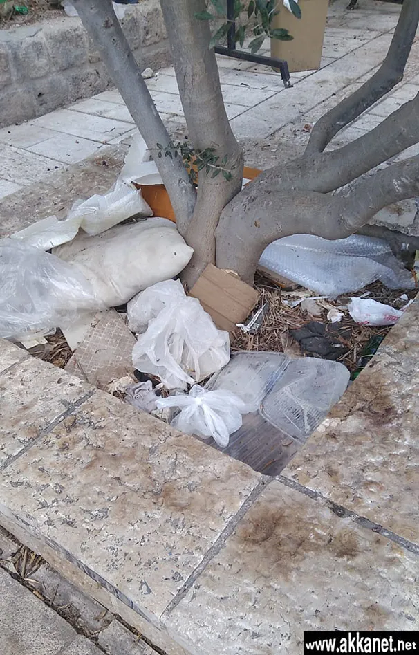 862ccd4a F5cc 4436 86d7 21bc54c5740d