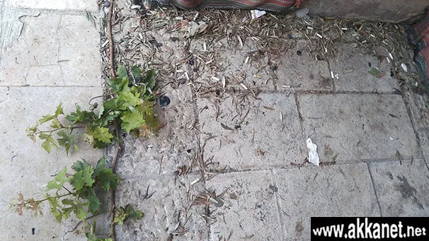 97900258 4870 4597 B95d 59924a70fe2a