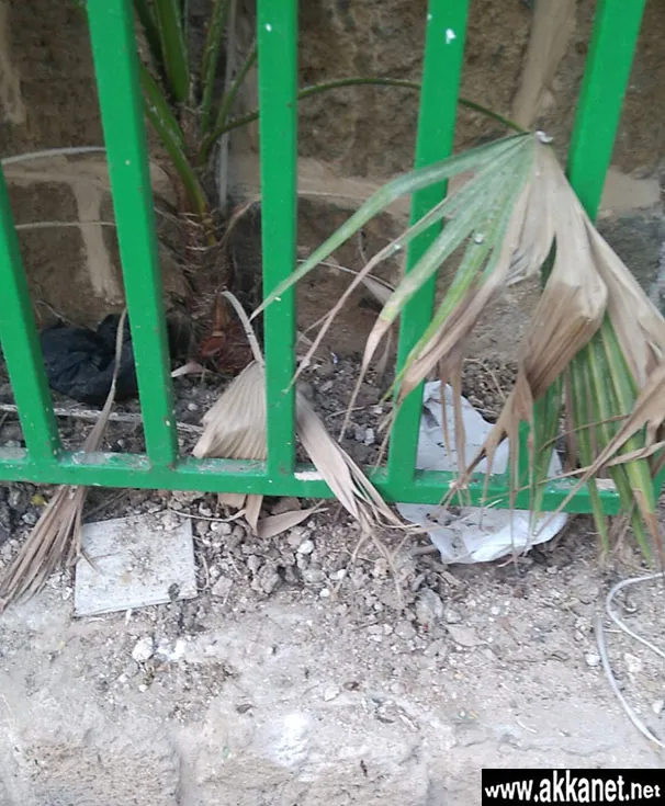 B3a6c12b 2a62 40d4 8b4e 9c229553f8a8