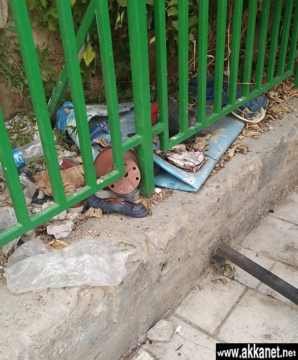 Bf03c38b C146 4d76 8568 E3cb154ab212