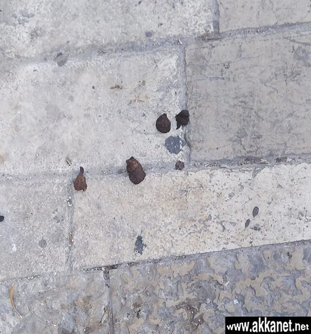 De008495 1126 42f2 B9ee A5ca7cec2e81