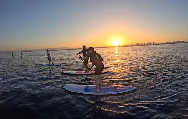 1e6e4b0f 8aa2 4677 8bb4 A5b33f7df0e9