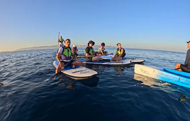 31edf36f 33a8 4a4c 978c E1f23b97d16b