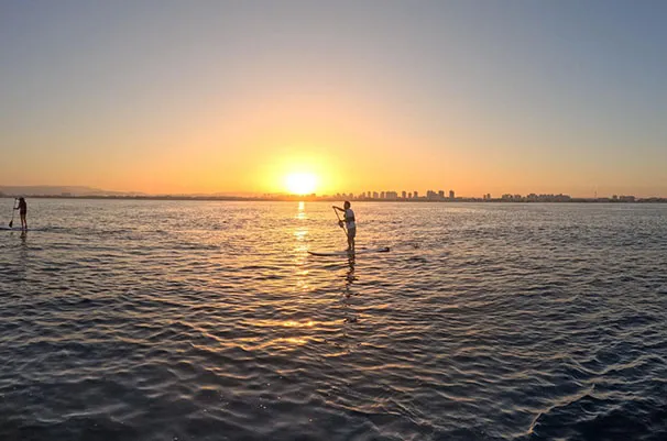 374315ea 82af 4846 97bd 65a45b0277ea