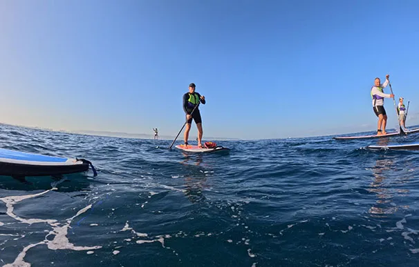 5cc457ca 3cae 4332 Becc 8a6bd4896907